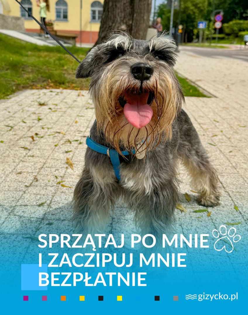 Plakat