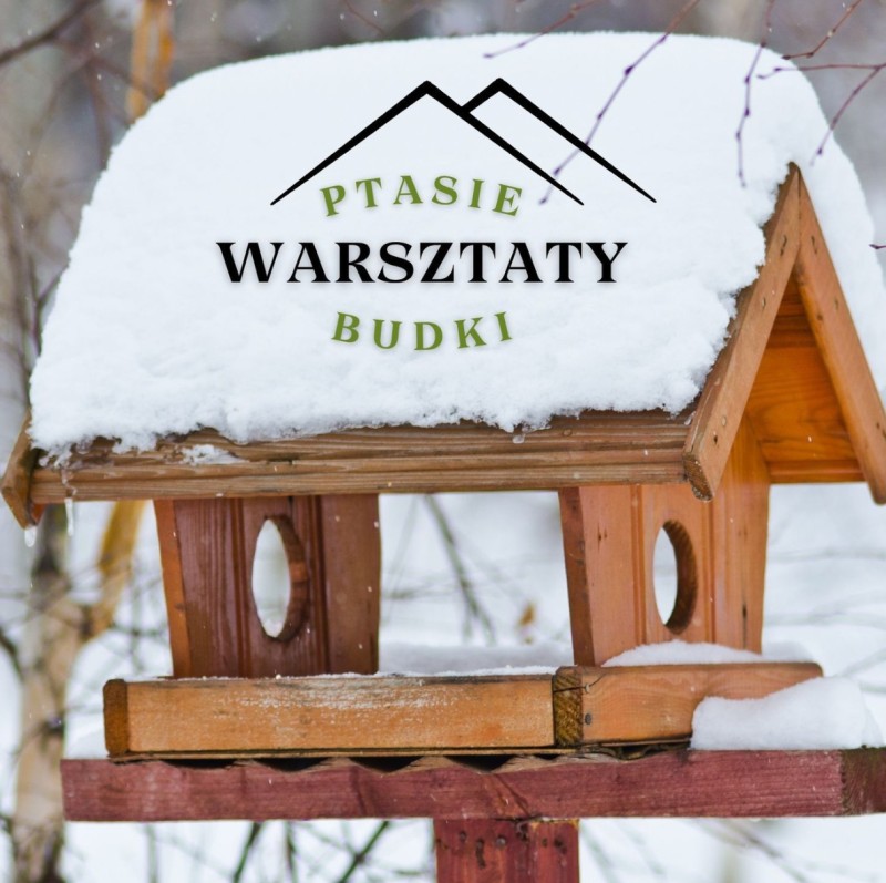 Ptasie Budki | Warsztaty