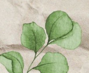 Giżycki Dzień Ziemi